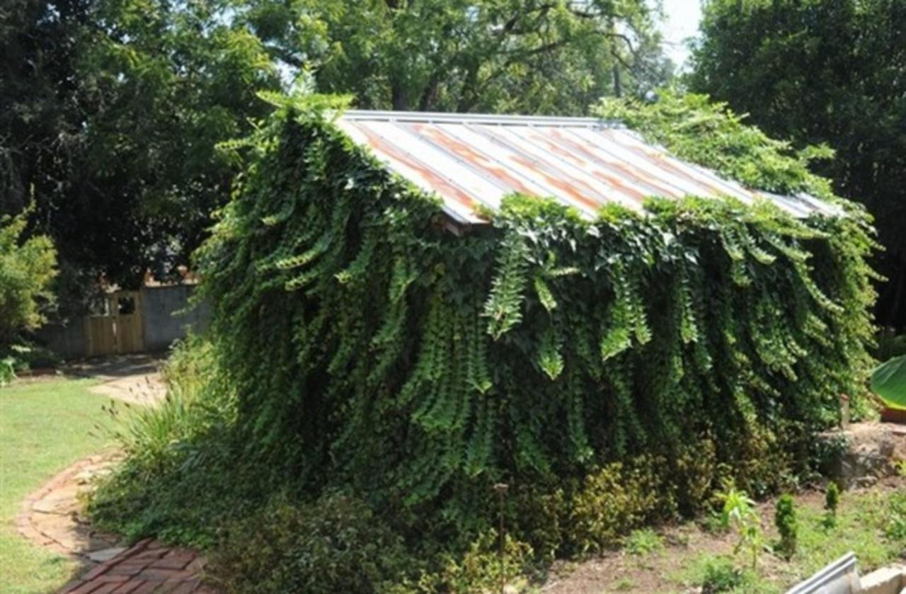 Clevedale Historic Inn And Gardens Spartanburg Εξωτερικό φωτογραφία